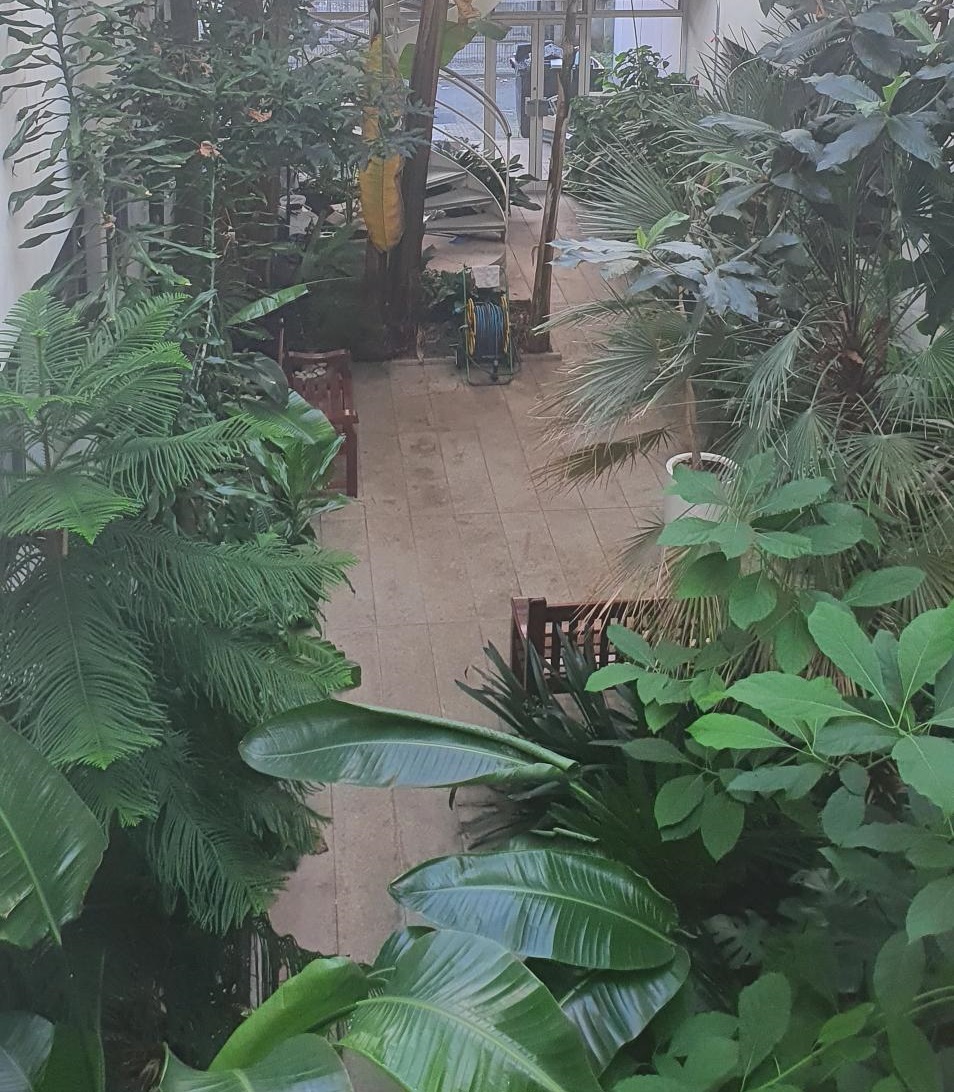 Large tropical plants with benches at the centre